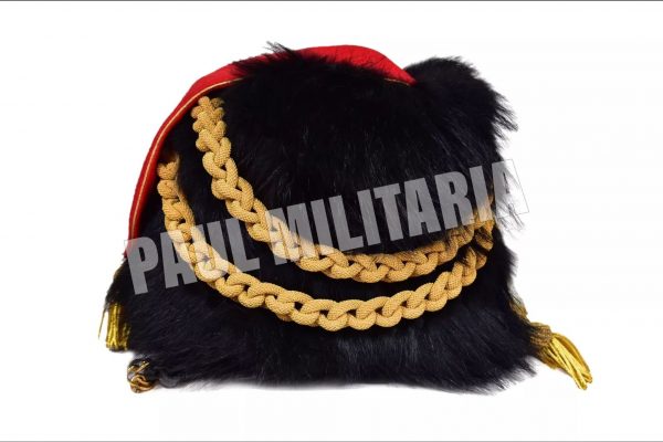 Napoleonic Light cavalry officer's collar with racquet cord, plume and chin straps (13)