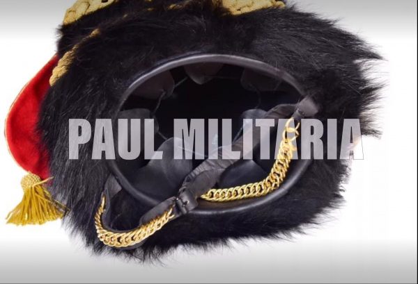 Napoleonic Light cavalry officer's collar with racquet cord, plume and chin straps.