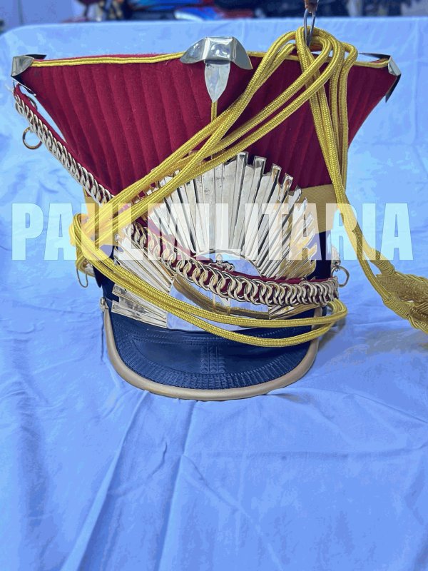 13_Shapska of light horse of second regiment (Dutch) (5)