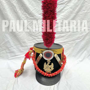 Shako Of Young Guard Infantry with foot artillry of guard Eagle (3)