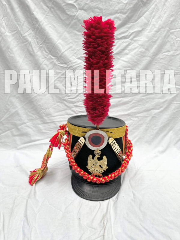 Shako Of Young Guard Infantry with foot artillry of guard Eagle (3)